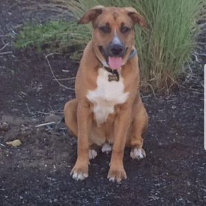 Meet your Posher, Jordan